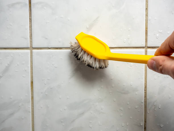 Best Mold Testing and Inspection Services in Putnam Lake, NY