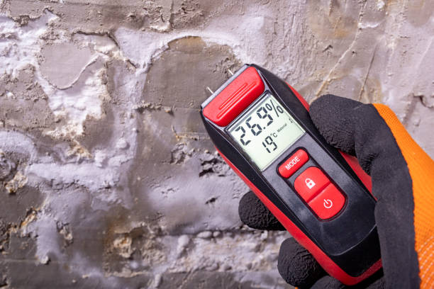 Trusted Putnam Lake, NY Mold Remediation Experts