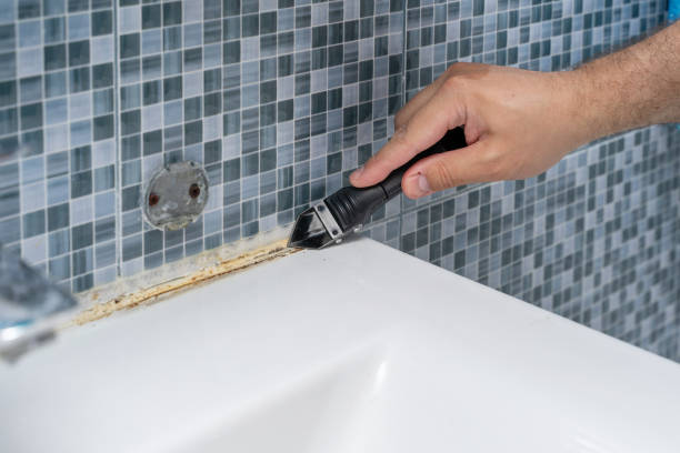 Best Emergency Mold Remediation in Putnam Lake, NY